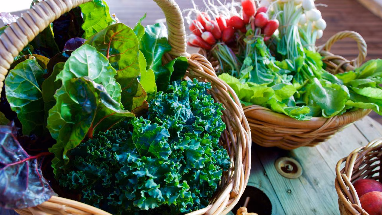 Leafy vegetables