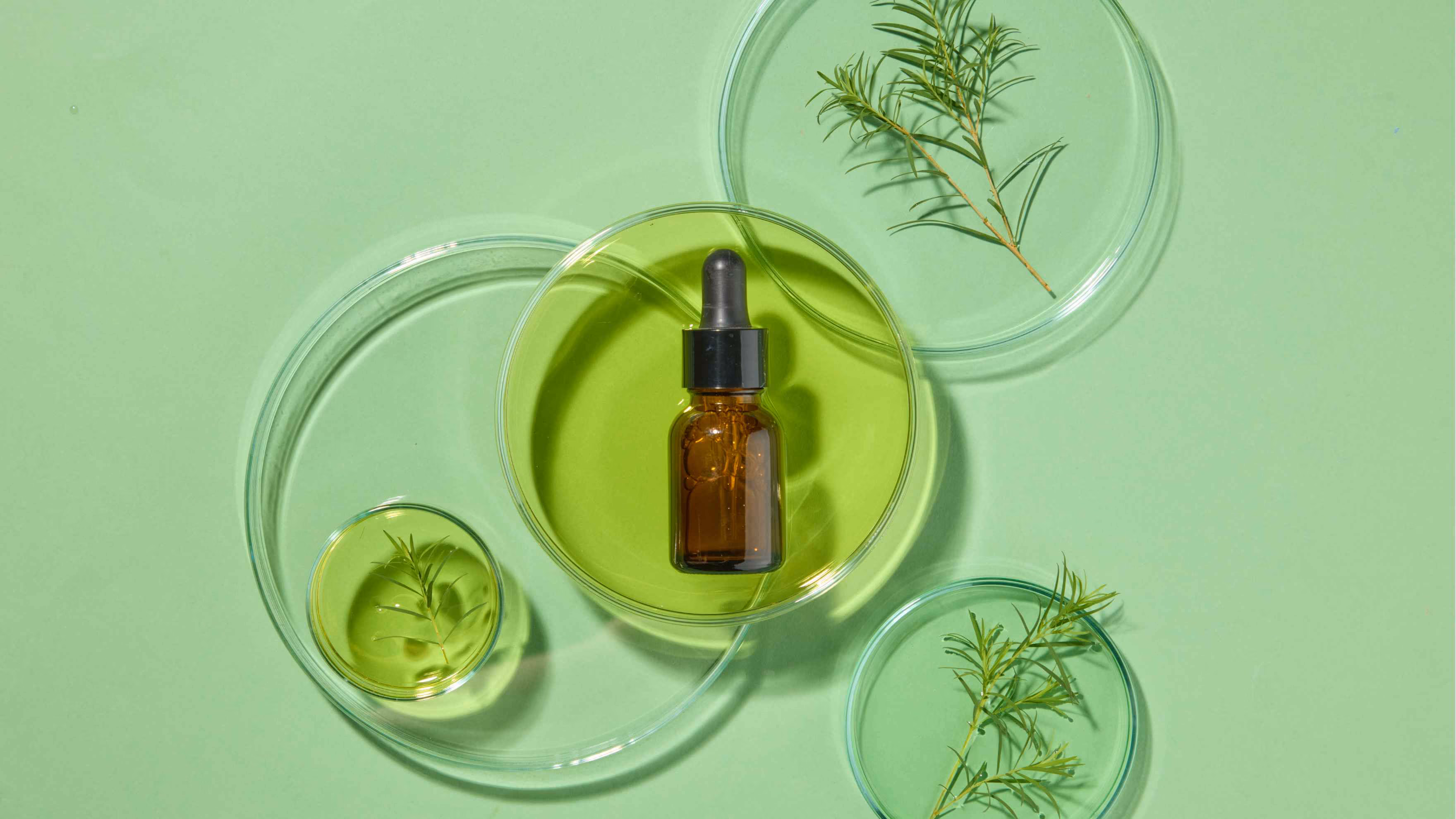 Green Tea & Glycerin Serum for Combination Skin